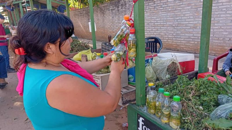 Tradicional Bebida: Auge del «Carrulim» en San Pedro